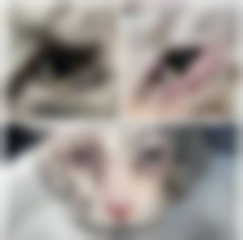 特色科室与项目——解答“医院好在哪”