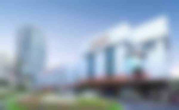 价格明细——上海市杨定宇口碑怎么样，2026全新价格透明公开